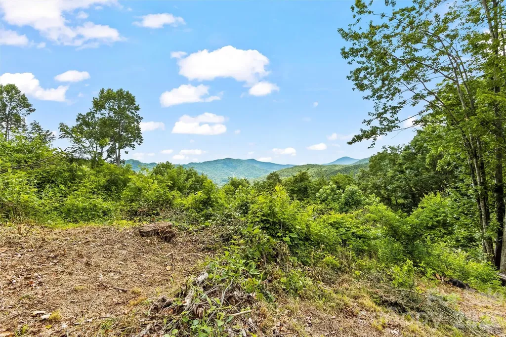 553 Paradise Mountain Road Canton NC 28716