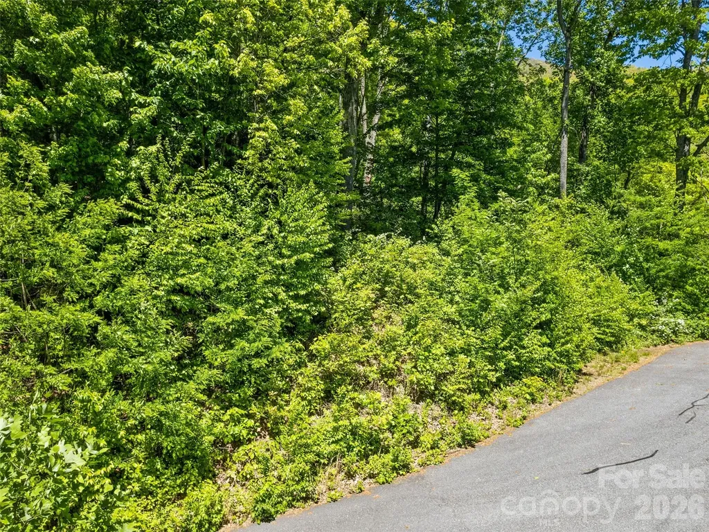 00 Triple Creek Drive Clyde NC 28721