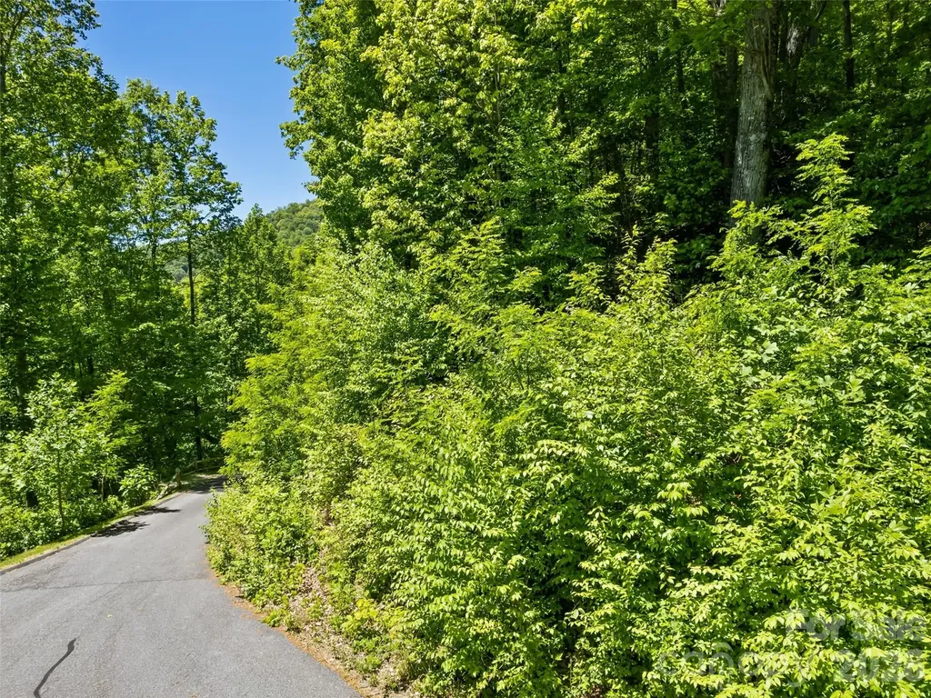 00 Triple Creek Drive Clyde NC 28721
