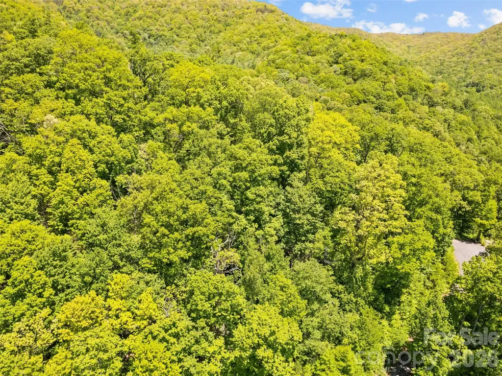 00 Triple Creek Drive Clyde NC 28721