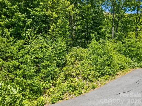 00 Triple Creek Drive Clyde NC 28721