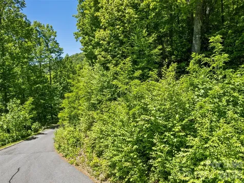 00 Triple Creek Drive Clyde NC 28721