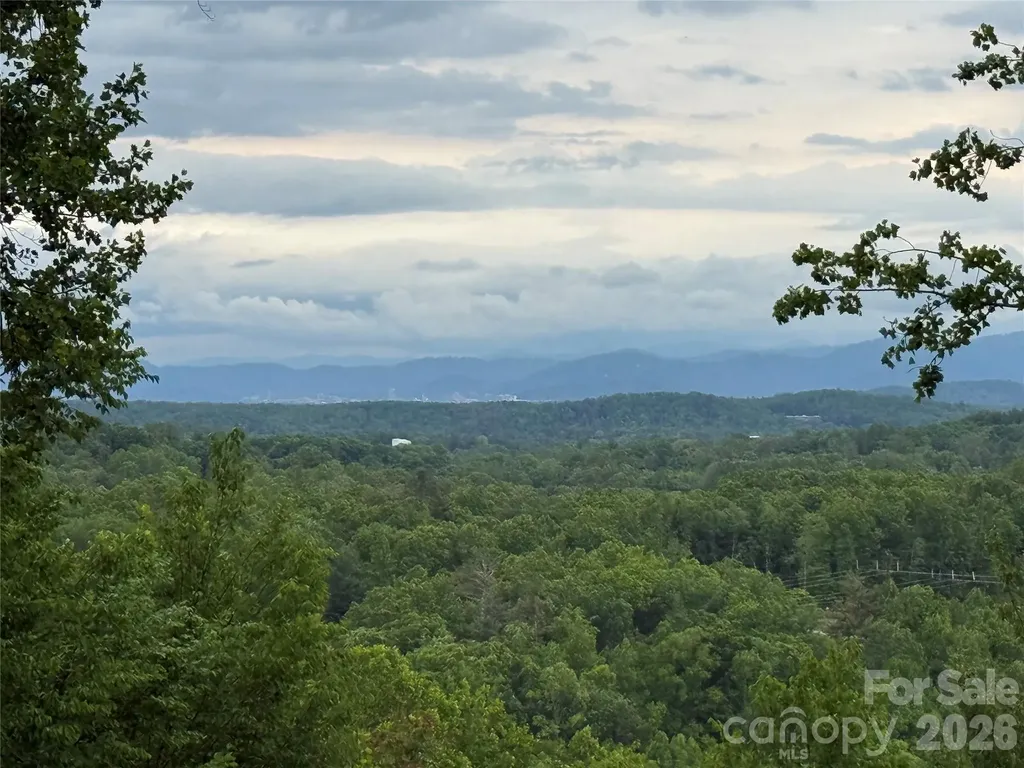 16 Ridge Pine Trail Arden NC 28704