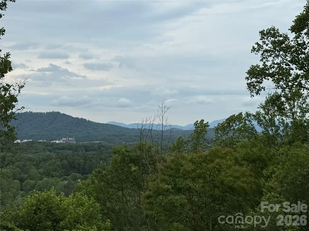 16 Ridge Pine Trail Arden NC 28704