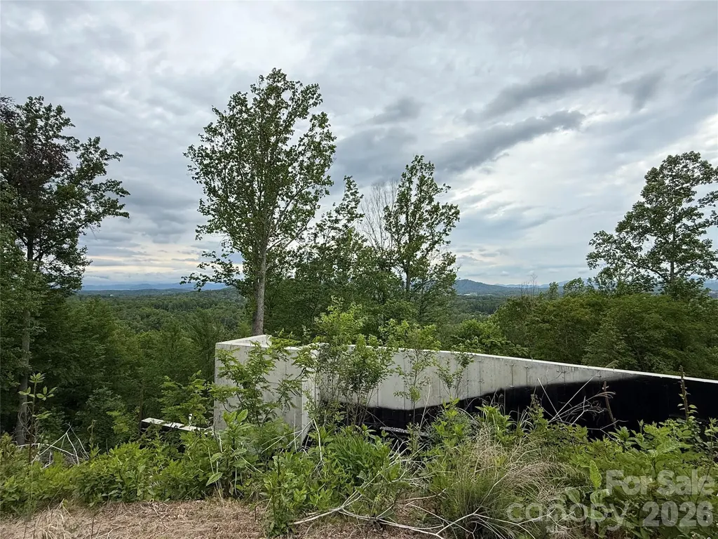 16 Ridge Pine Trail Arden NC 28704