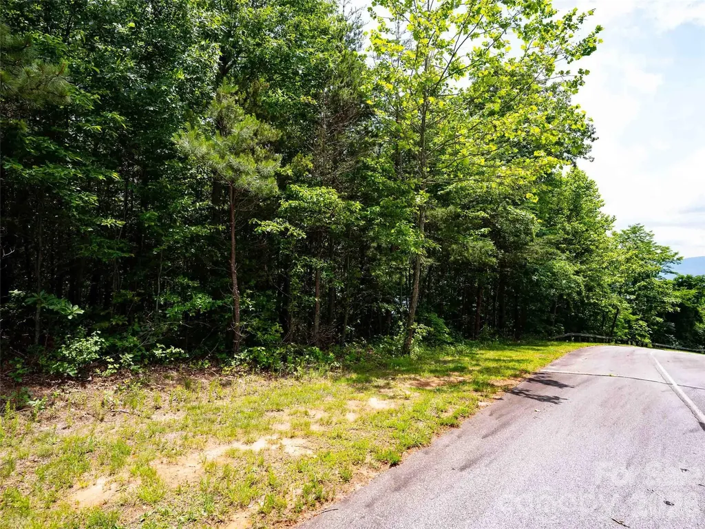 288 Eastman Place Mill Spring NC 28756