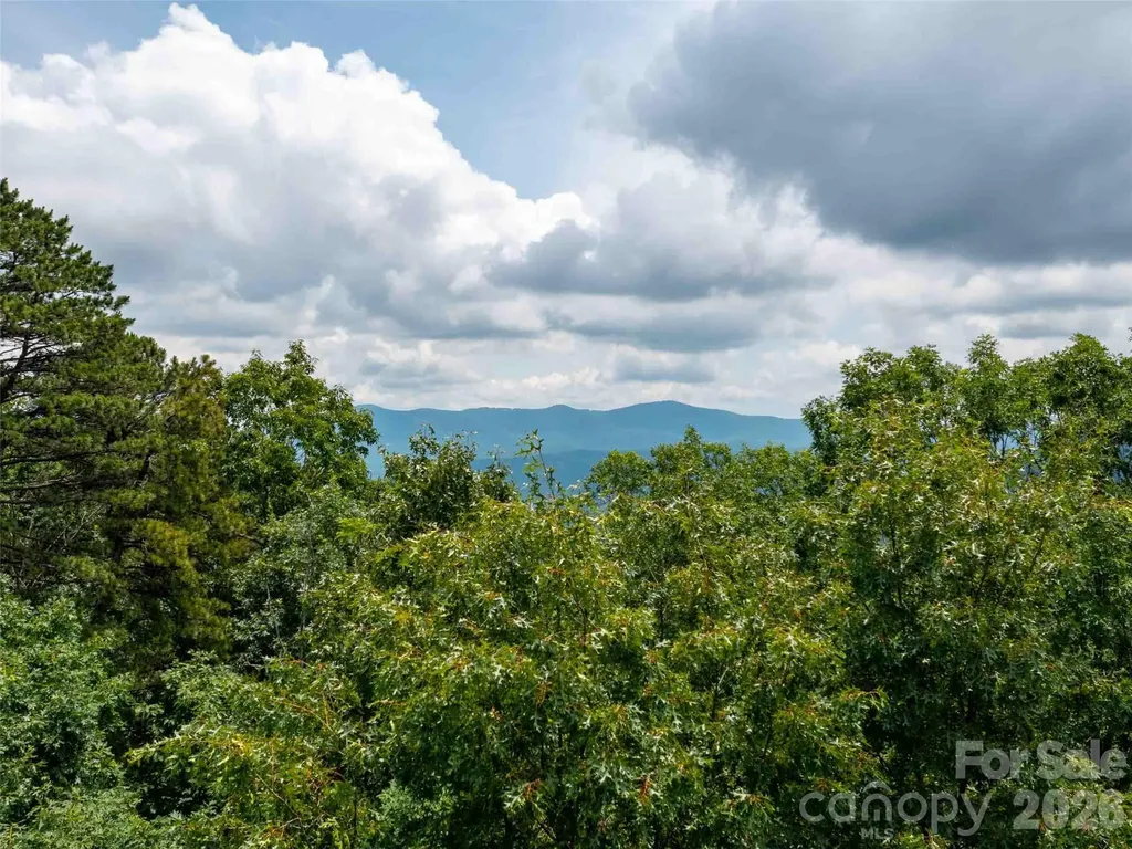 288 Eastman Place Mill Spring NC 28756