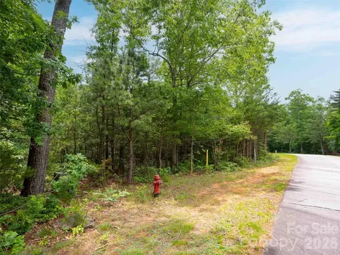 288 Eastman Place Mill Spring NC 28756