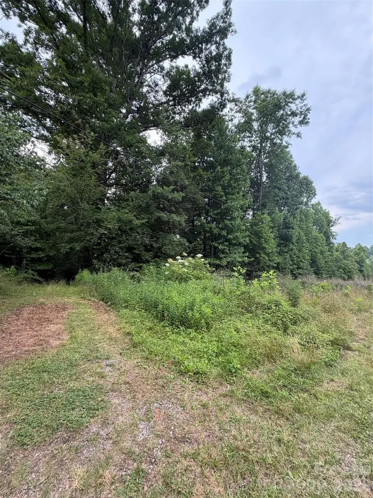Lot 1 Parker Padgett Road Old Fort NC 28762