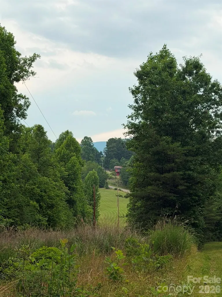 Lot 1 Parker Padgett Road Old Fort NC 28762