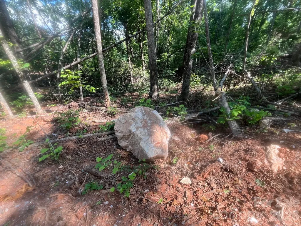Tbd Lotus Drive Nebo NC 28761