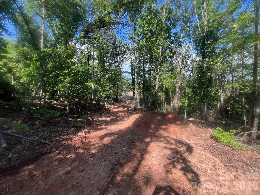 Tbd Lotus Drive Nebo NC 28761
