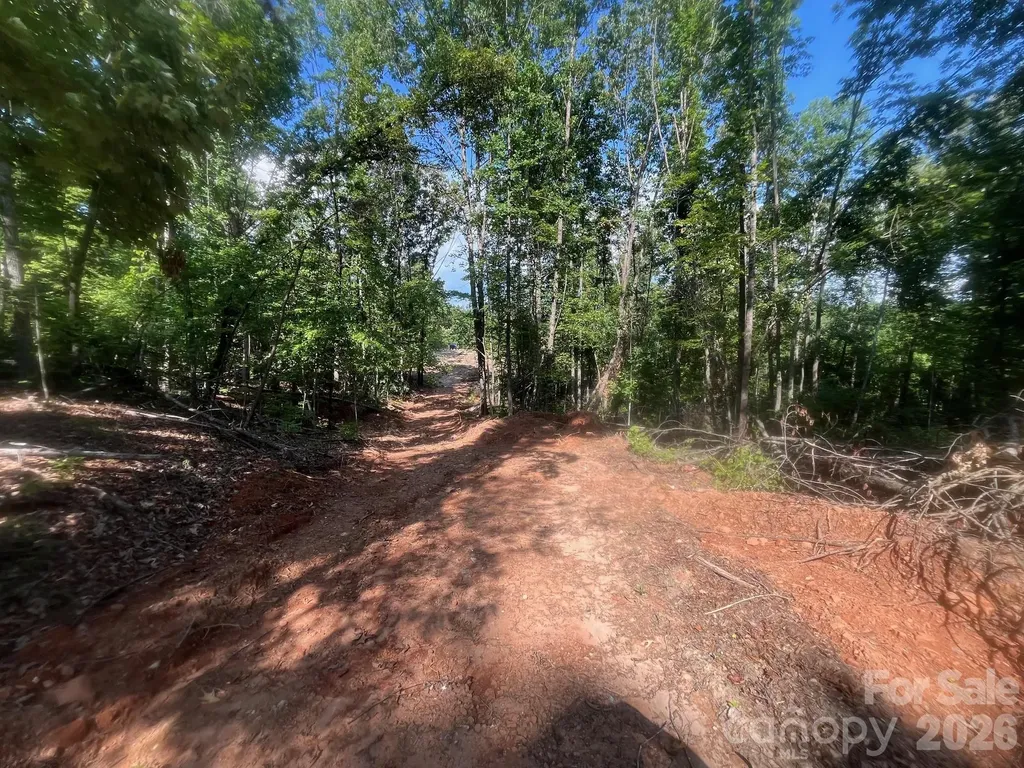 Tbd Lotus Drive Nebo NC 28761