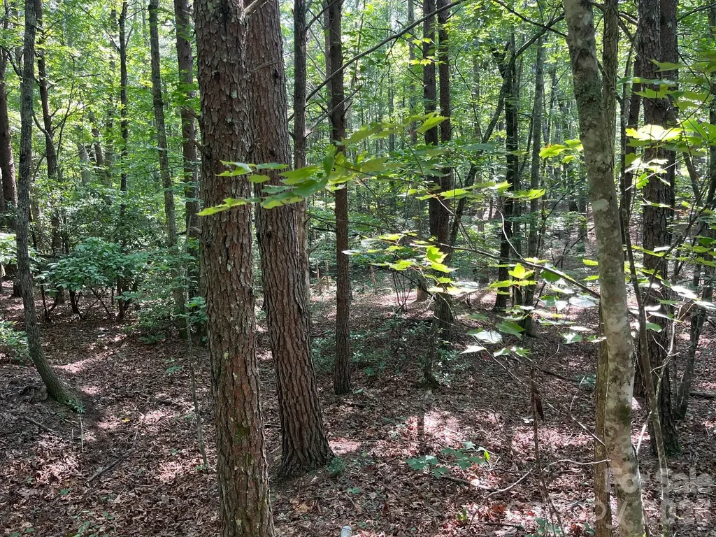 Tbd Lotus Drive Nebo NC 28761