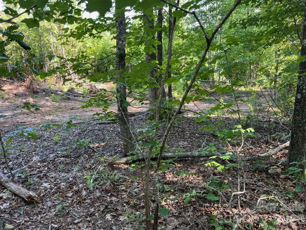 Tbd Lotus Drive Nebo NC 28761
