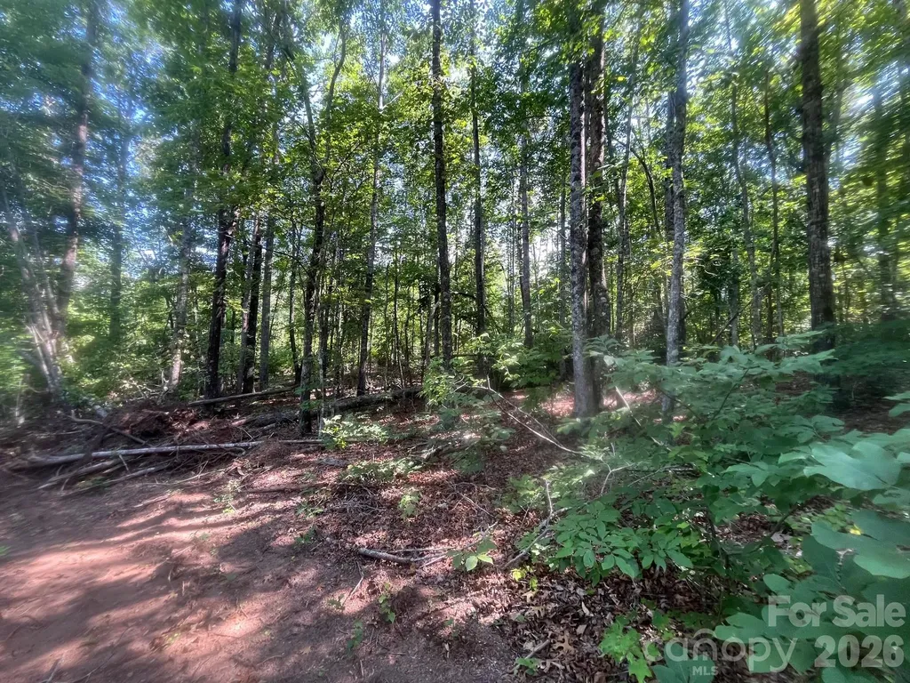 Tbd Lotus Drive Nebo NC 28761