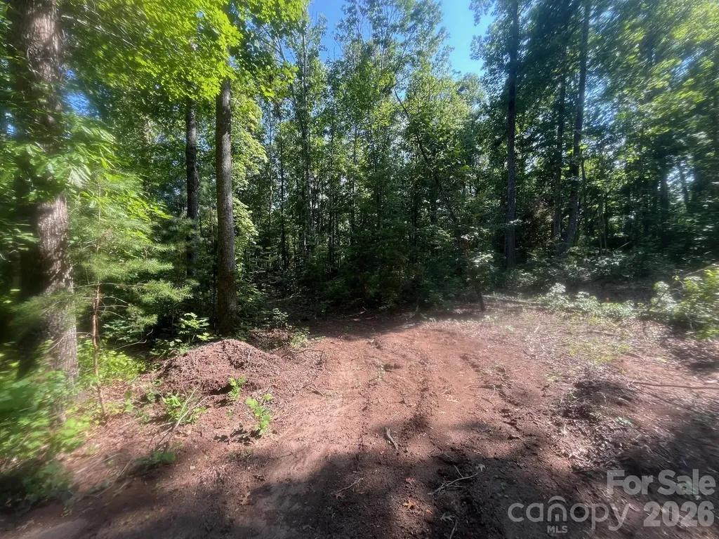 Tbd Lotus Drive Nebo NC 28761