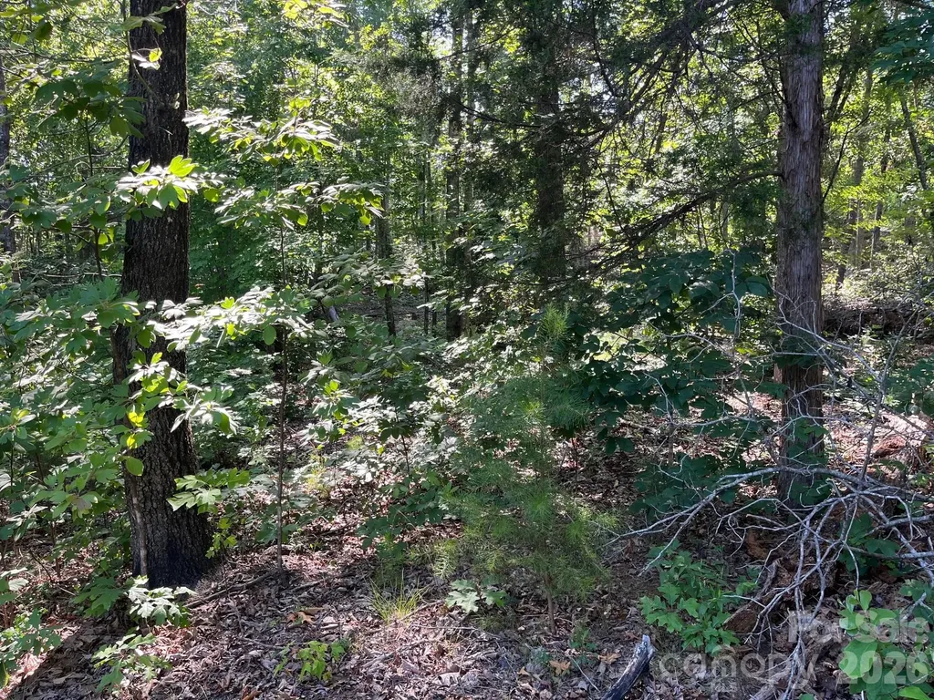 Tbd Lotus Drive Nebo NC 28761