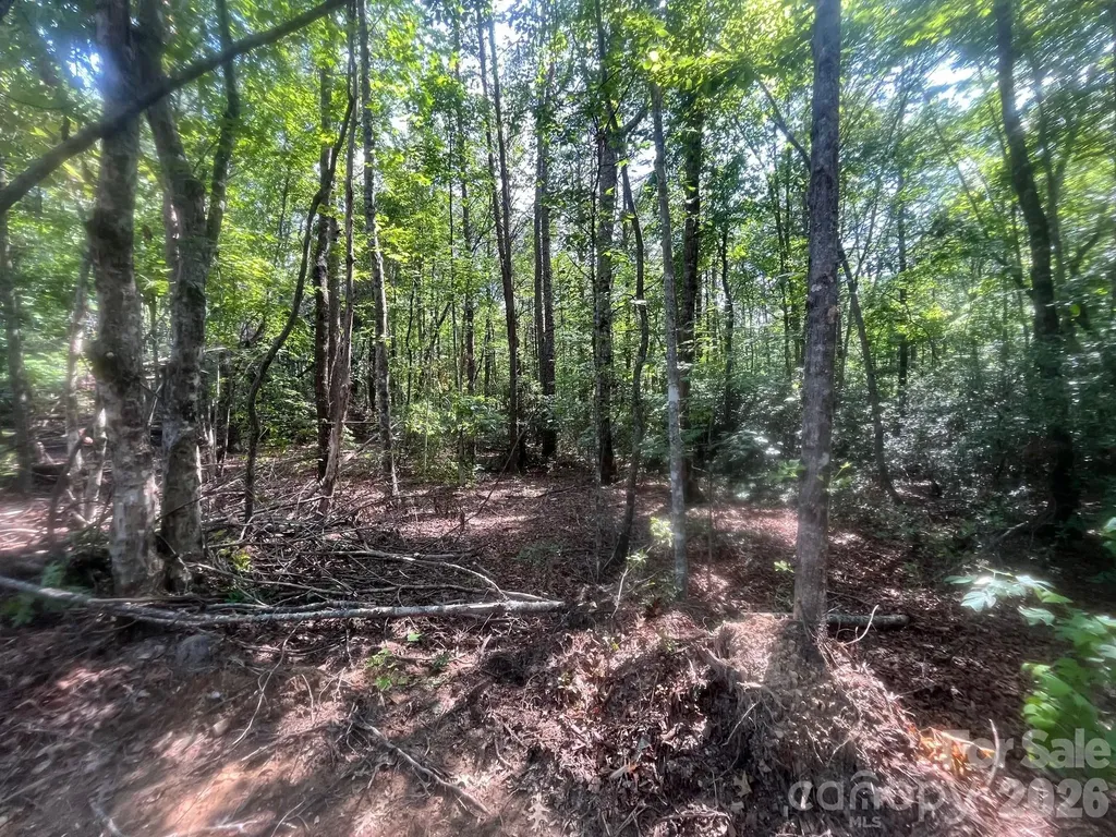 Tbd Lotus Drive Nebo NC 28761