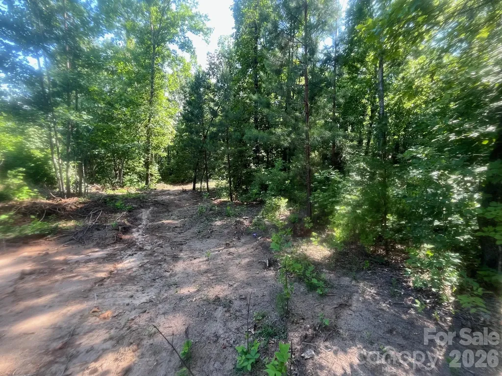 Tbd Lotus Drive Nebo NC 28761