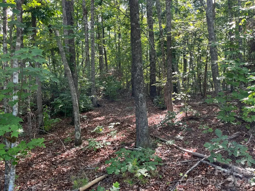 Tbd Lotus Drive Nebo NC 28761