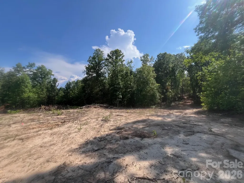 Tbd Lotus Drive Nebo NC 28761