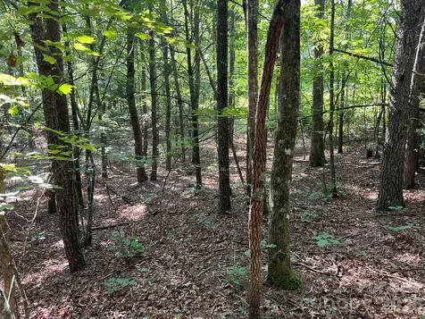 Tbd Lotus Drive Nebo NC 28761