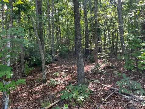 Tbd Lotus Drive Nebo NC 28761