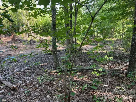 Tbd Lotus Drive Nebo NC 28761
