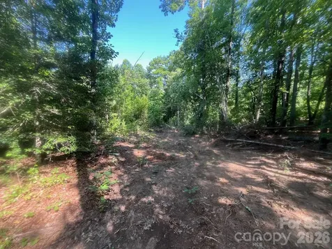 Tbd Lotus Drive Nebo NC 28761