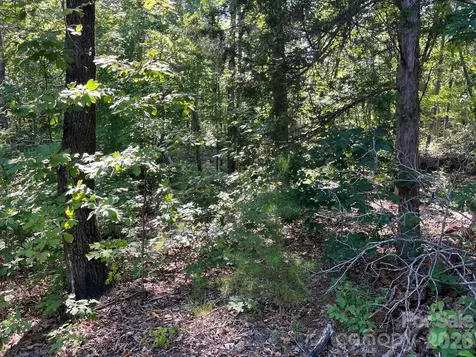 Tbd Lotus Drive Nebo NC 28761