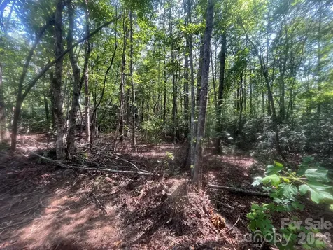 Tbd Lotus Drive Nebo NC 28761