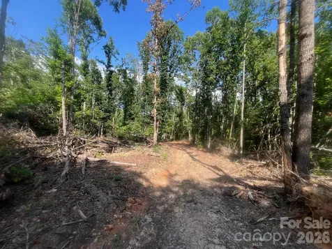 Tbd Lotus Drive Nebo NC 28761