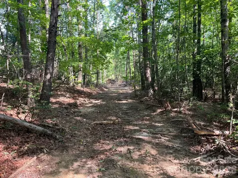 Tbd Lotus Drive Nebo NC 28761