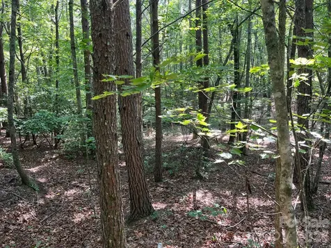 Tbd Lotus Drive Nebo NC 28761