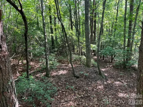 Tbd Lotus Drive Nebo NC 28761