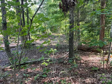 Tbd Lotus Drive Nebo NC 28761