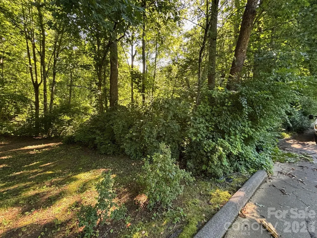 V/l Woodland Drive Marion NC 28752