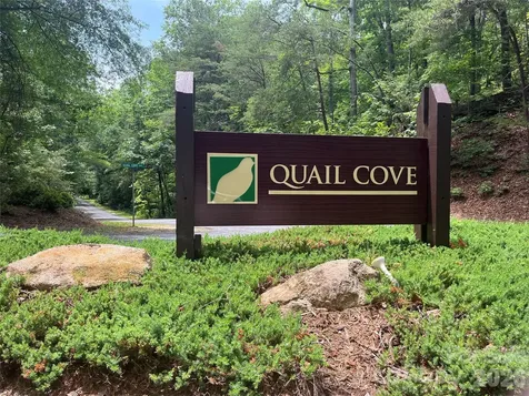 155 Quail Cove Boulevard Lake Lure NC 28746