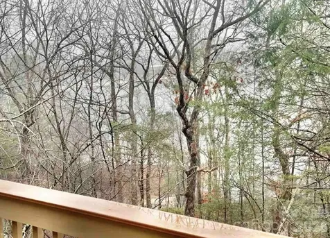155 Quail Cove Boulevard Lake Lure NC 28746