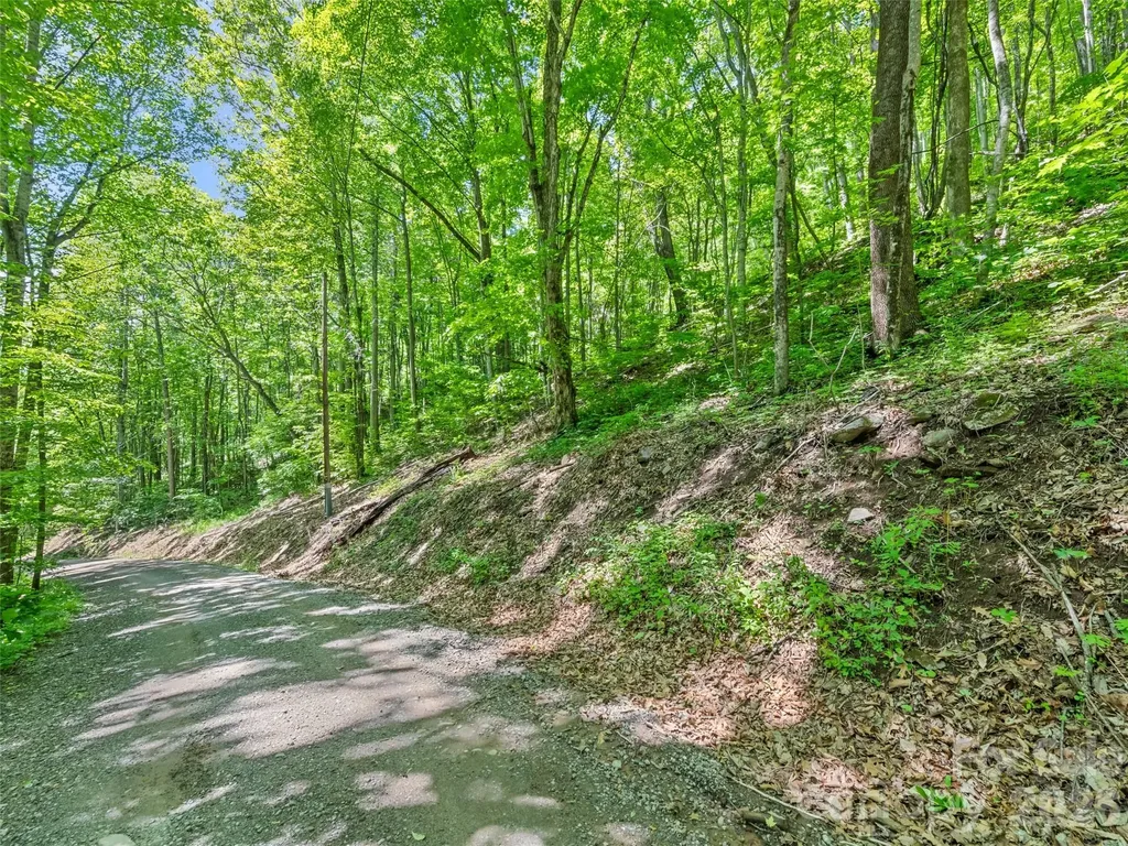 00 Rustic Road Waynesville NC 28786