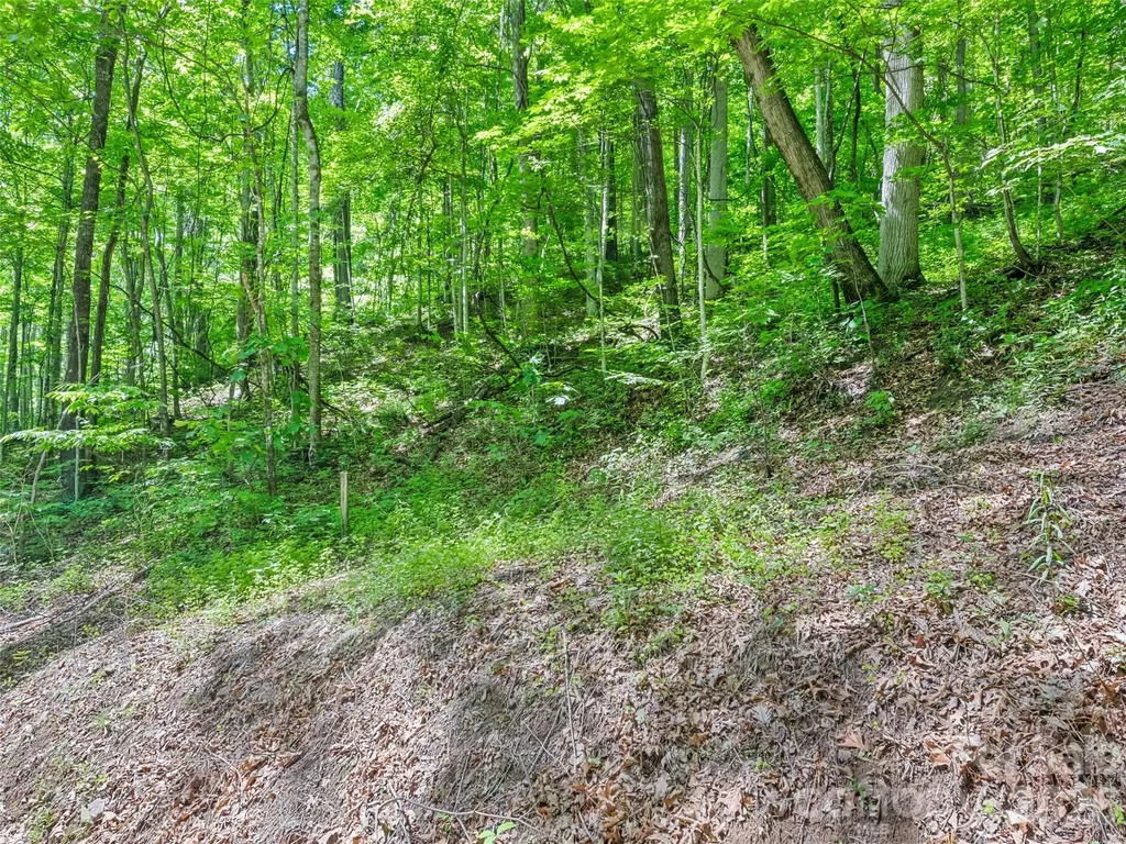 00 Rustic Road Waynesville NC 28786