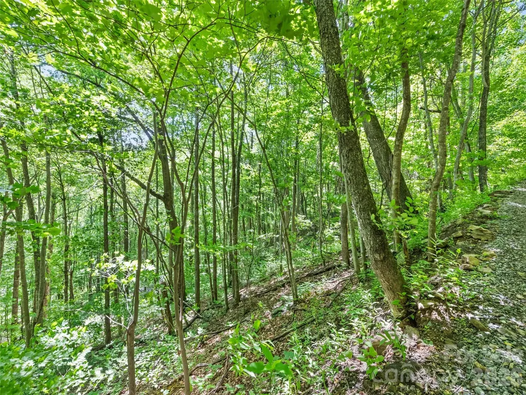 00 Rustic Road Waynesville NC 28786