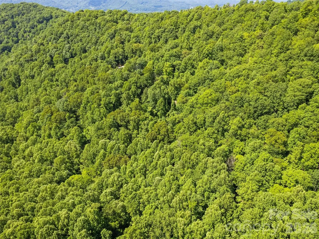 00 Rustic Road Waynesville NC 28786
