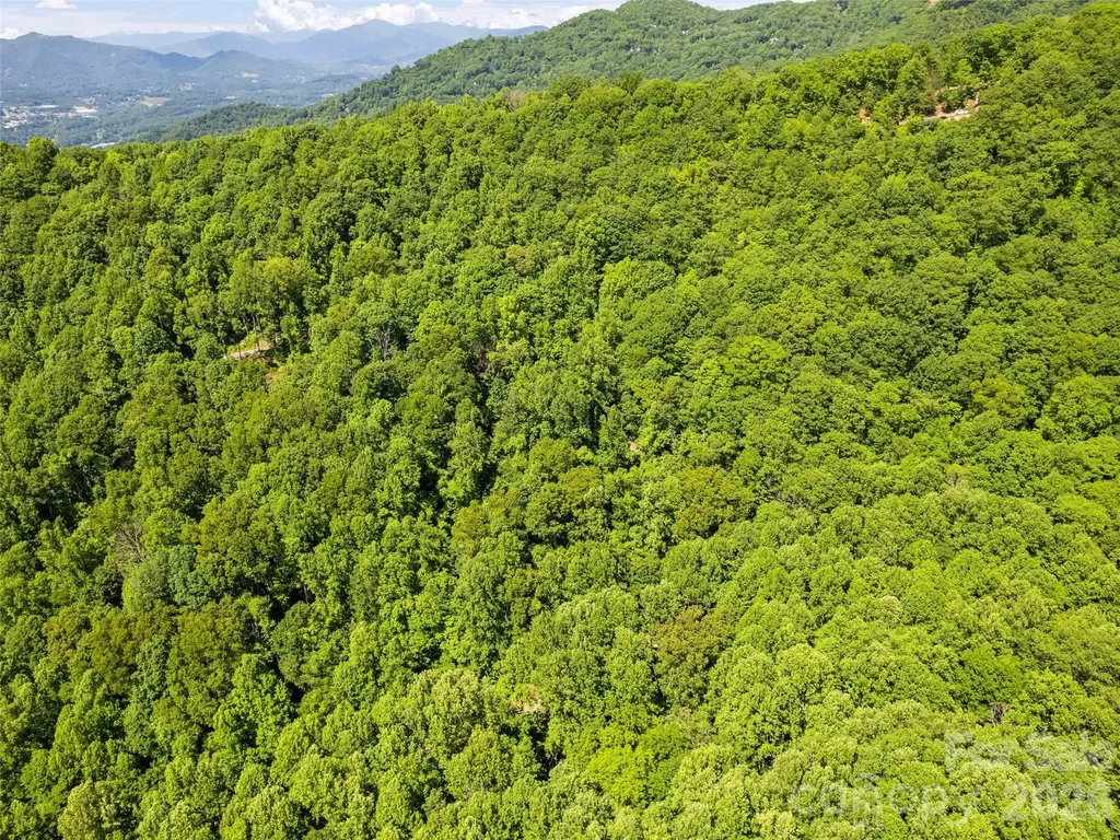 00 Rustic Road Waynesville NC 28786