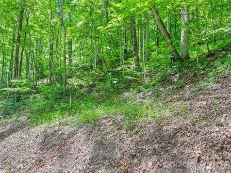 00 Rustic Road Waynesville NC 28786