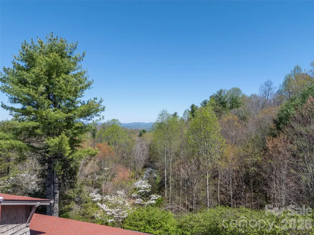19 Lacoste Drive Hendersonville NC 28739