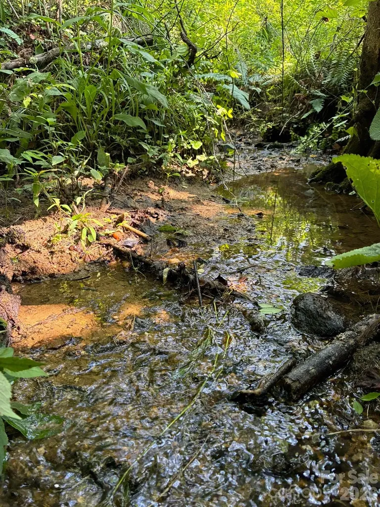 Tbd Tract C Pole Miller Extension Brevard NC 28712