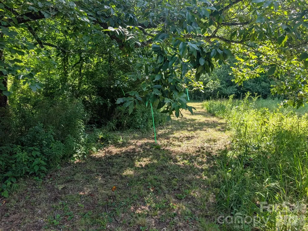 Tbd Tract C Pole Miller Extension Brevard NC 28712