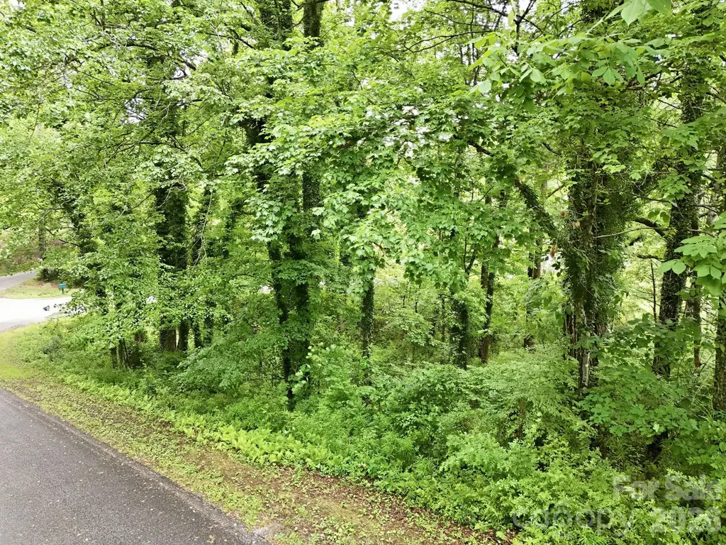 Tbd Tract C Pole Miller Extension Brevard NC 28712